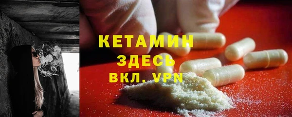 сатива Дмитриев