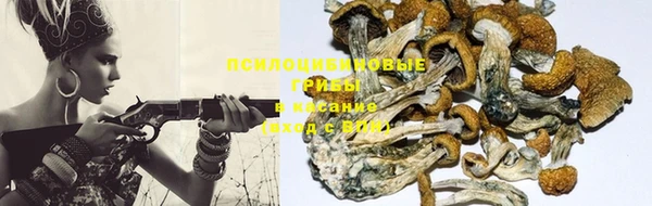 MDMA Premium VHQ Дмитров