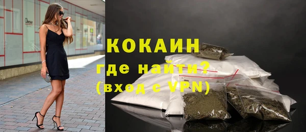 сатива Дмитриев