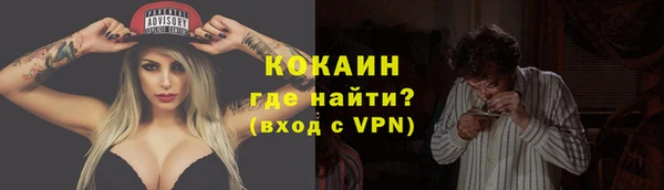 сатива Дмитриев