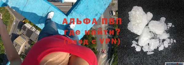 сатива Дмитриев