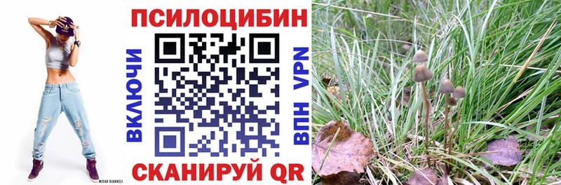 Купить закладки  Кизел  Псилоцибиновые грибы прущие грибы 