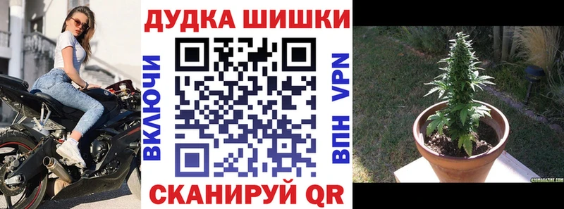 Купить закладки  Кизел  Конопля план 